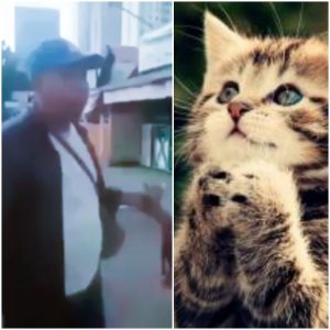 Pria Pemakan Kucing Hidup-hidup Viral Diketahui Seorang Preman Pasar