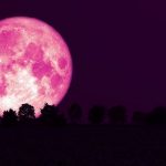 Bulan Purnama Stroberi