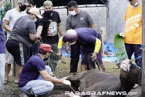 Masjid Almustagim Gelar Penyembelihan 29 Hewan Kurban dengan Protokol Kesehatan yang Ketat