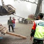 Video Viral Ada Dinosaurus