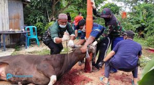 Masjid Al Mustaqim Gelar Penyembelihan Kurban Sesuai Prokes