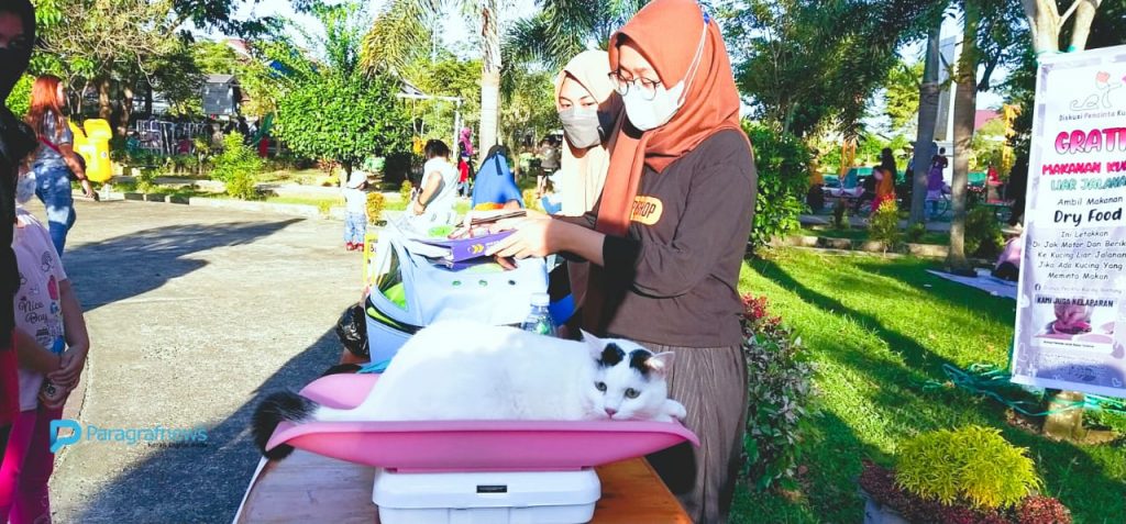 Disambut Hangat Oleh Pecinta Hewan, Posyandu Kucing di Bontang akan Digelar Rutin