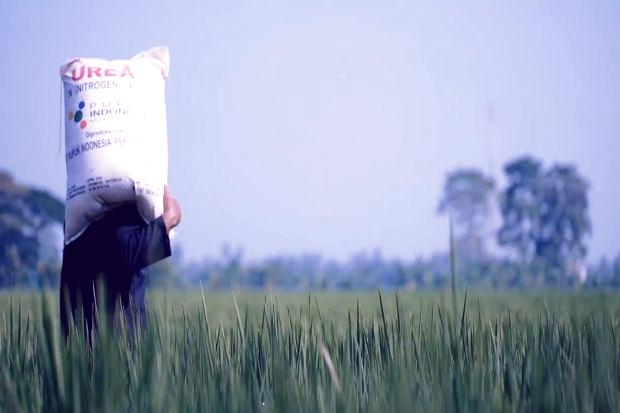 petani keluhkan kelangkaan pupuk saat musim tanam