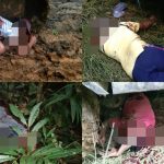 KKB Papua bunuh 4 pekerja proyek