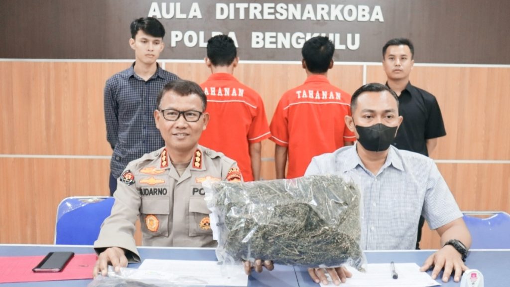 Penjual Ayam Potong Nyambi Jualan Narkotika, Diringkus Polisi 1 Kg Ganja Diamankan