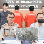 Penjual ayam jual ganja