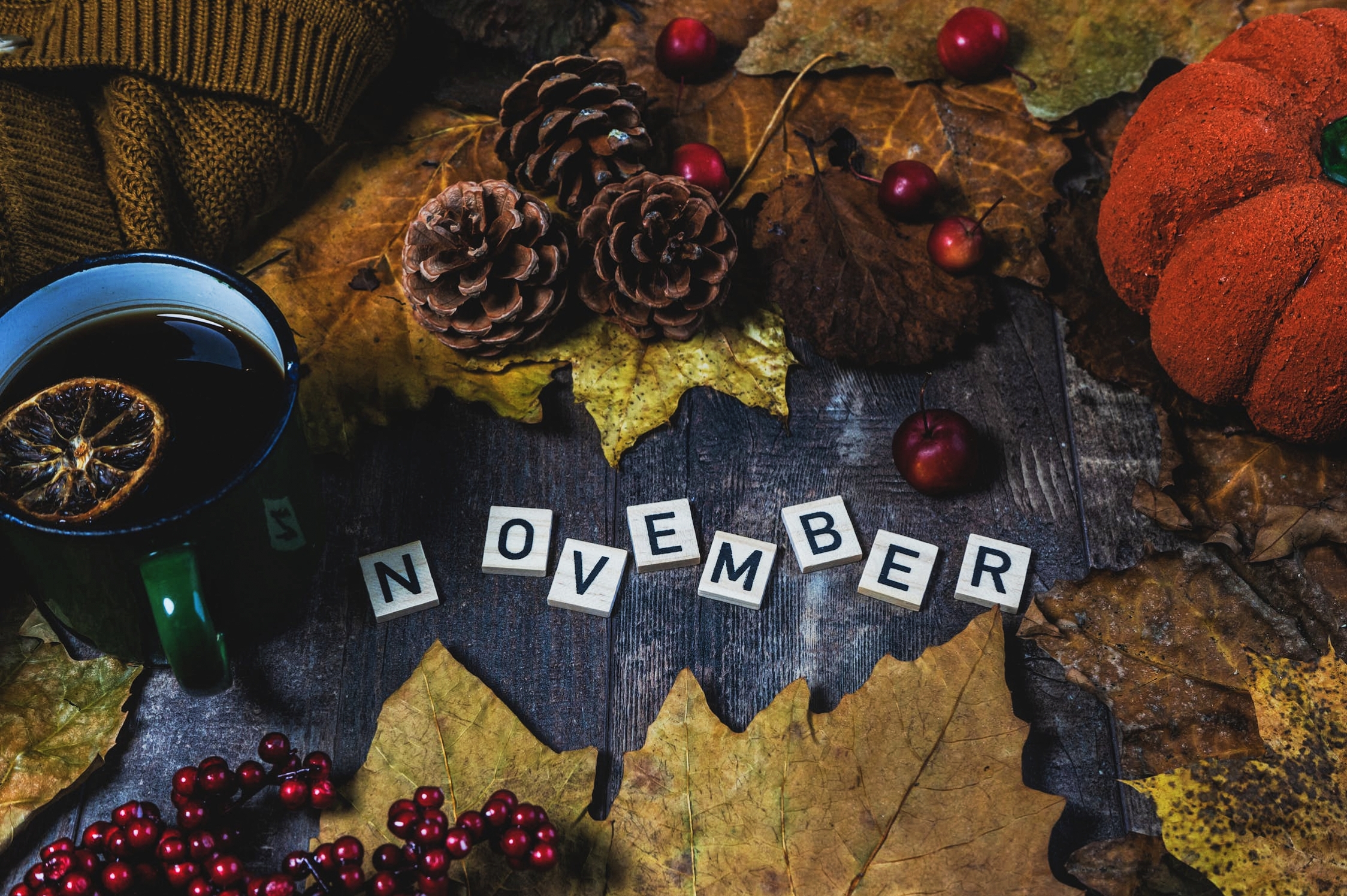 10 Fakta Sejarah Bulan November