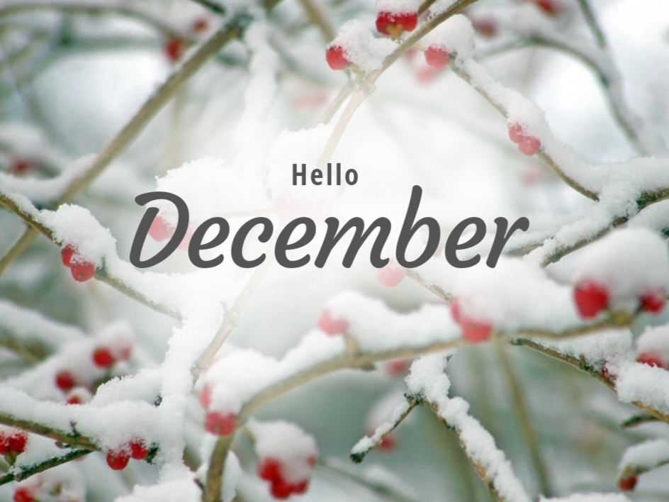 Fakta Menarik Tentang Desember