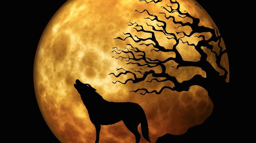 Apa Itu Fenomena Bulan Serigala? Simak Ini Penjelasannya