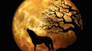 Apa Itu Fenomena Bulan Serigala? Simak Ini Penjelasannya