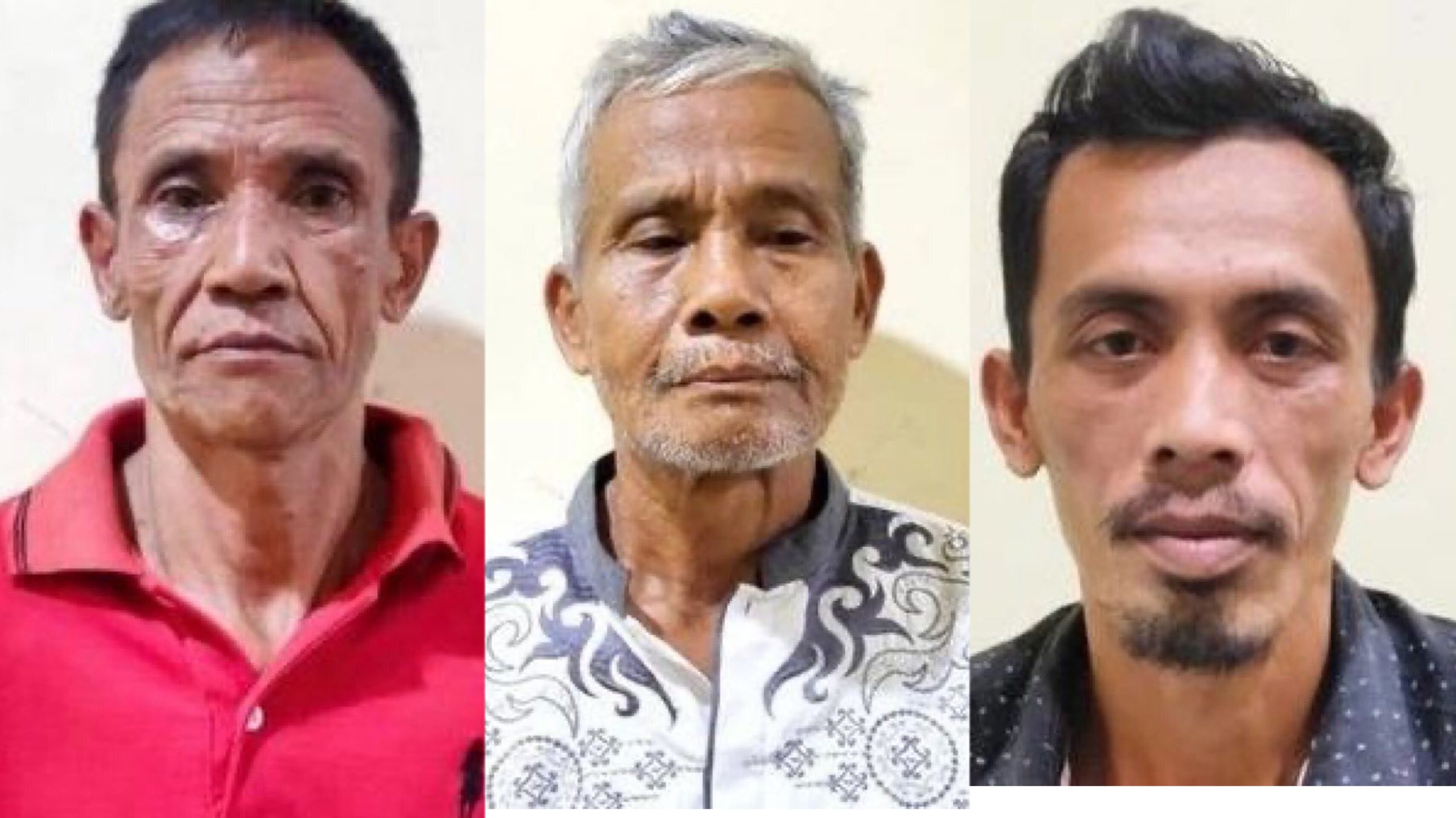 Peran tersangka kasus serial killer