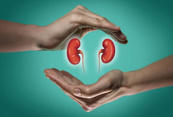 Cara Menjaga Kesehatan Organ Ginjal