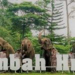 Taman Rekreasi Lembah Hijau