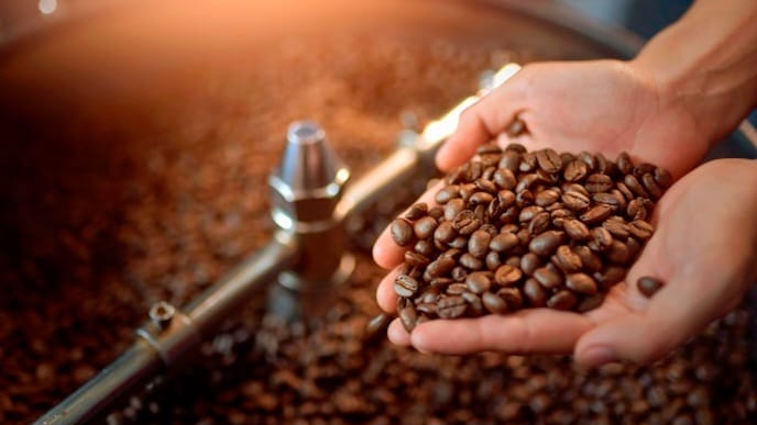 Asal Usul Tentang Kopi Mandheling