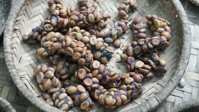 daftar 10 kopi terbaik Indonesia