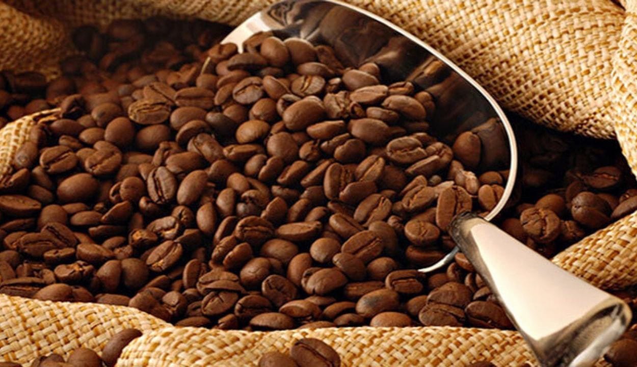 Mengenal Kopi Aceh Gayo