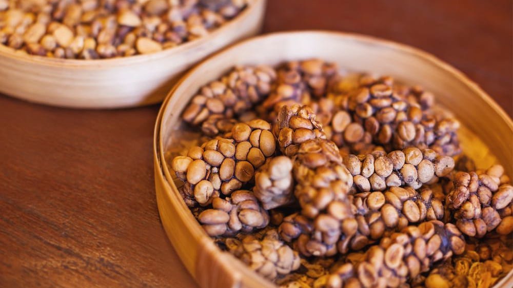 mengenal kopi luwak