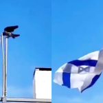 Burung Gagak Turunkan Bendera Israel