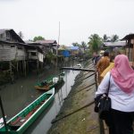BKSDA Relokasi 3 Buaya Guntung
