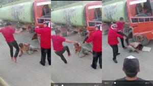 Aksi Brutal Ajudan Bupati Kutai Barat Aniaya Sopir Truk di Jalan Raya