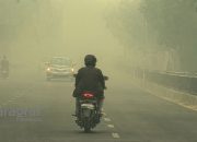 langit palangkaraya tertutup asap