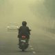 Langit Palangka Raya Tertutup Kabut Asap Pekat, Warga Teriak Minta Tolong: Jangan Dianggap Sepele!