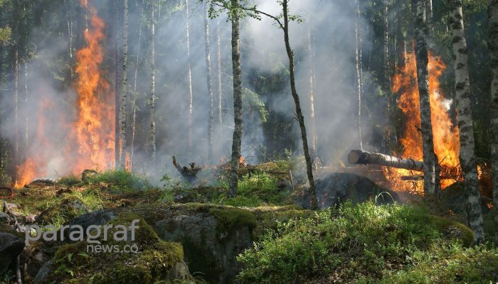 575 Hotspot Terdeteksi hingga 24 September, Kalimantan Tengah Jadi Perhatian Utama Karhutla