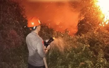 20 Hektare Lahan Gambut di Sangkulirang Terbakar, Brimob Kaltim Berjibaku Sembilan Jam