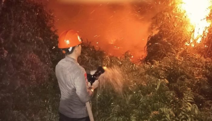 20 Hektare Lahan Gambut di Sangkulirang Terbakar, Brimob Kaltim Berjibaku Sembilan Jam