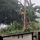 Alhamdulillah! Wilayah Bontang Diguyur Hujan Hari Ini, Sidrap, Loktuan hingga Guntung Ikut Basah