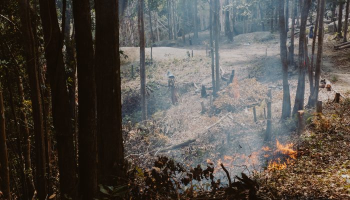 Karhutla Indonesia Masih Dinamis, Menhut Raja Juli Antoni Kerahkan 64 Armada Udara