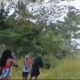 OPM Kembali Berulah, Beredar Video Aksi Penembakan Pesawat Sipil di Yahukimo