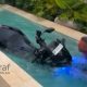 Ulah Bikin Gedek! Bule di Bali Sengaja Ceburkan Motor Sewaan ke Kolam Renang Vila, Warganet Desak Deportasi
