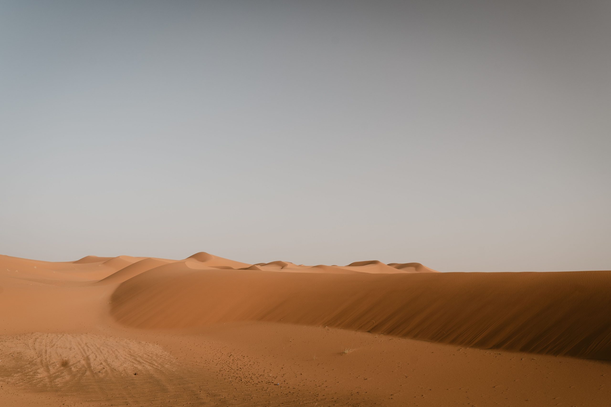 Fakta unik gurun sahara