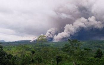 Gunung Semeru Kembali Erupsi, Kolom Letusan Capai 700 Meter