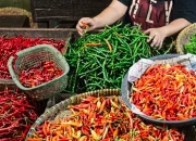 Harga Pangan Hari Ini 28 September 2026: Cabai Keriting Tembus Rp103 Ribu, Rawit Rp113 Ribu