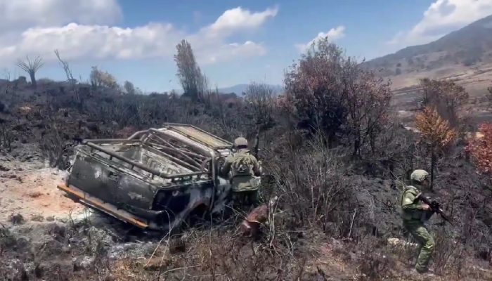 Jasad Aris Sanda Ditemukan Hangus Bersama Mobil Terbakar, TNI Evakuasi Korban di Danau Habema