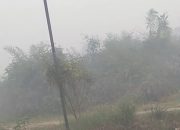 kabut asap sampit