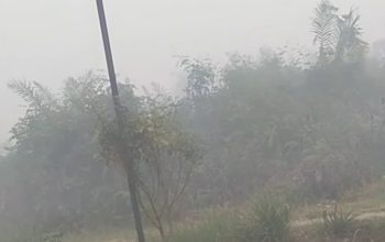 Kabut Asap Kembali Selimuti Sampit, Jarak Pandang Sempat Cuma 100 Meter
