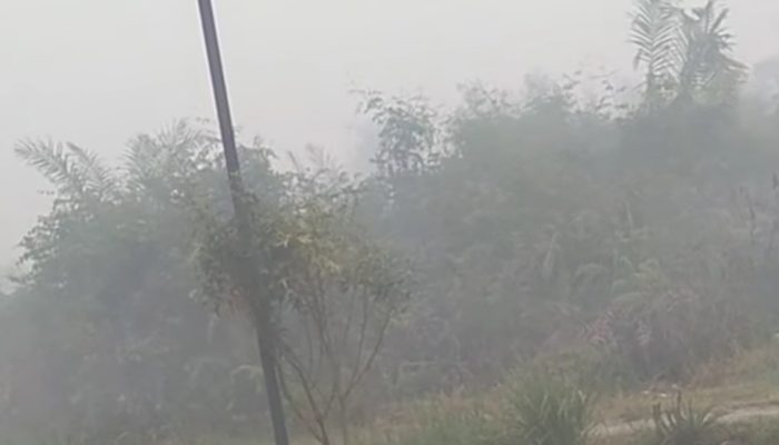 Kabut Asap Kembali Selimuti Sampit, Jarak Pandang Sempat Cuma 100 Meter