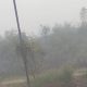 Kabut Asap Kembali Selimuti Sampit, Jarak Pandang Sempat Cuma 100 Meter