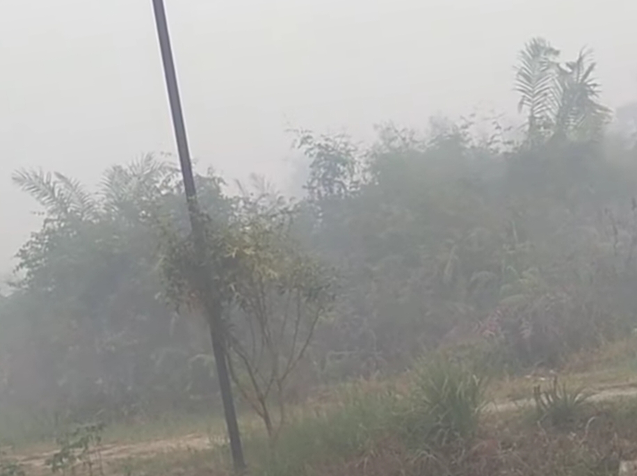 kabut asap sampit