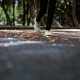 Manfaat Jalan Kaki 30 Menit Setiap Hari, Apa yang Terjadi pada Tubuh?