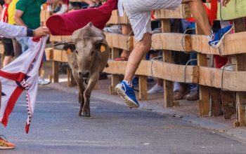 tradisi lari banteng spanyol