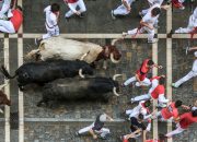 wanita tewas diseruduk banteng