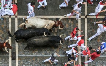 wanita tewas diseruduk banteng