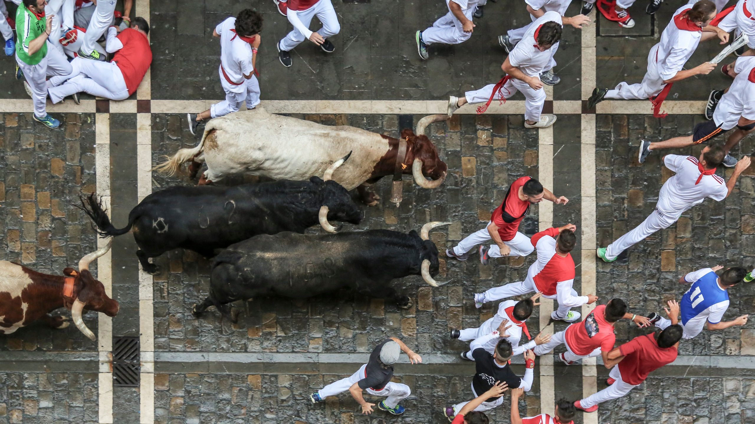 wanita tewas diseruduk banteng