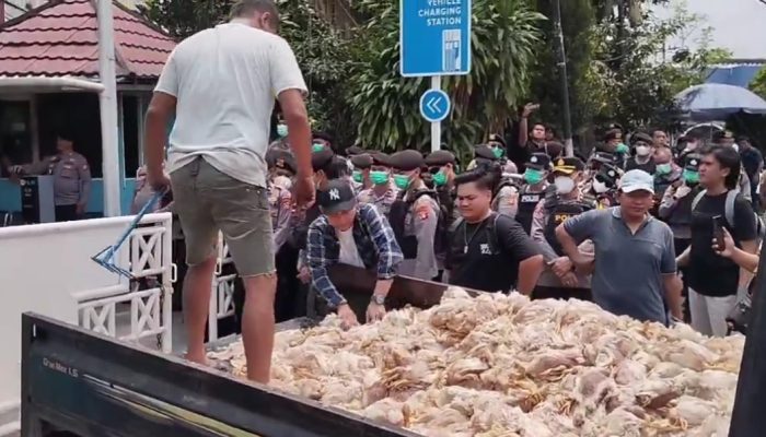 Geger! 7.000 Bangkai Ayam Dilempar ke Kantor PLN, Peternak Palangka Raya Rugi Rp200 Juta
