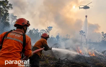 Karhutla Indonesia Jadi Sorotan, Greenpeace Sebut 1,9 Juta Hektare Terbakar
