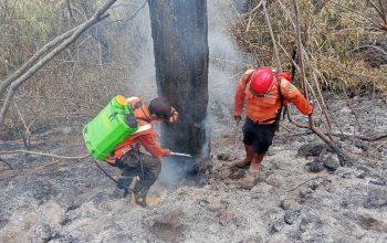 Titik Api Gunung Ciremai Menurun, Kebakaran Belum Padam: BNPB Kerahkan Drone Termal